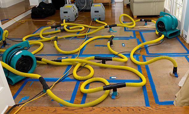 Professional Crawl Space Water Removal technician working in Cookstown, NJ